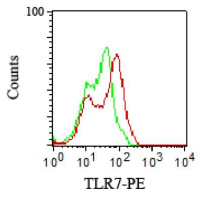 Flow Cytometry: Rabbit IgG Isotype Control [PE] [NBP2-24983]